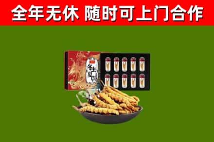 神农架烟酒回收冬虫夏草礼盒.jpg
